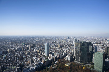 Fototapeta na wymiar 新宿　都庁舎からの展望
