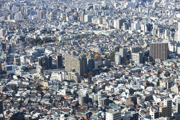 新宿　都庁舎からの展望