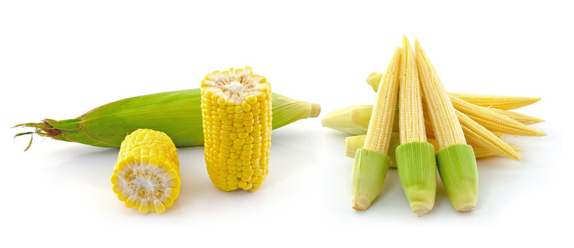 Young small corn  and corn on white background