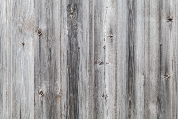 Old gray wooden wall detailed background texture