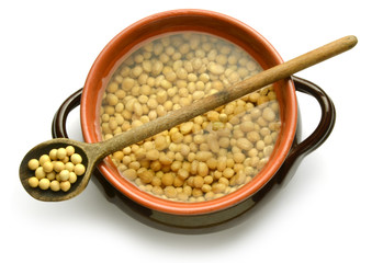 Glycine max Soybean Sojaboon Sojabohne Soya bean Соя