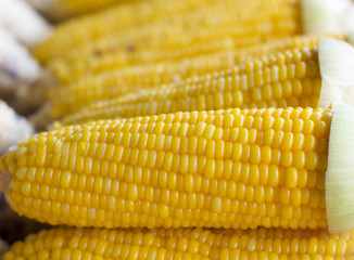 Fresh corn