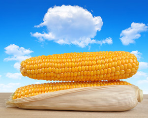 ripe ears of corn on a wooden plank