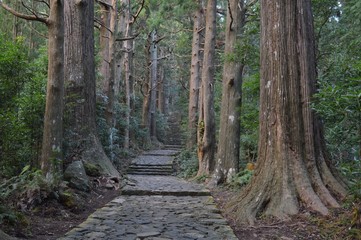 世界遺産　熊野古道