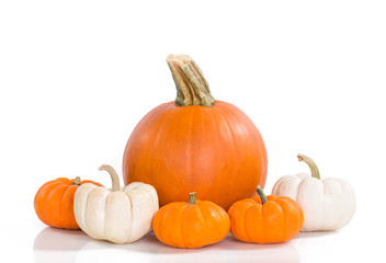 Pumpkins against white background