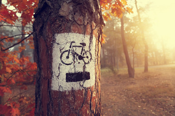 Sign bike path in the misty autumn colored forest