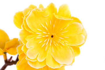 Yellow artificial flowers.