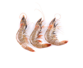 Three fresh shrimps.