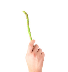 Hand holding green asparagus.