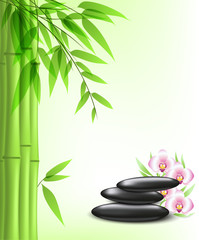 Green bamboo and spa stones