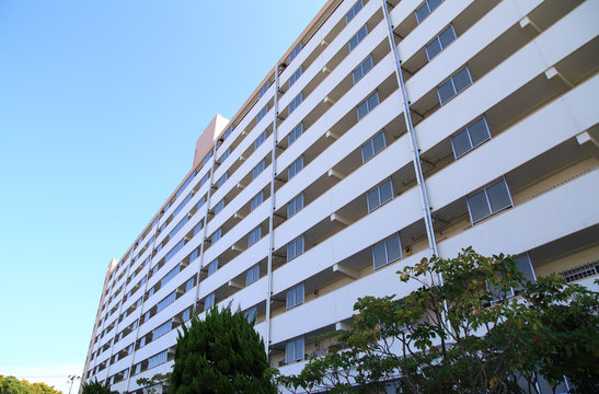 551 件の最適な 光栄 画像、ストック写真、ベクター Adobe Stock