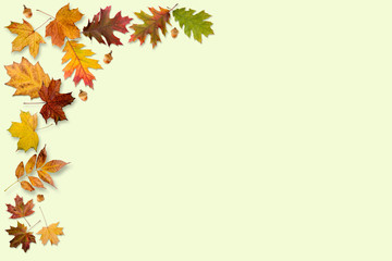 Naklejka na ściany i meble A frame made with autumn leaves isolated on light green background