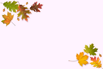 A frame made with autumn leaves isolated on pink background
