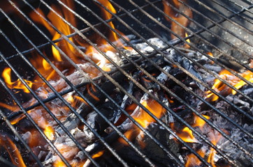 fragment barbecue