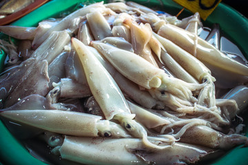 Fresh squid in the market