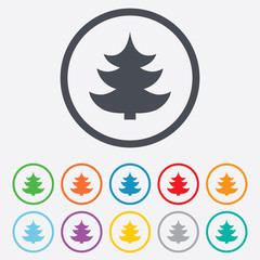 Christmas tree sign icon. Holidays button.