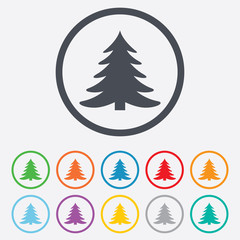 Christmas tree sign icon. Holidays button.