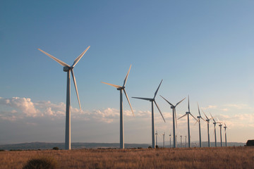 Molinos de viento