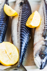 whole fresh fish, mackerel on iron background