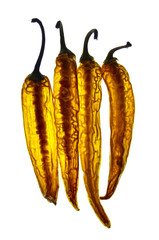 Guindillas a contraluz