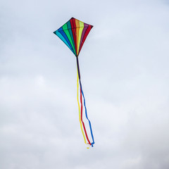 Rainbow kite flying