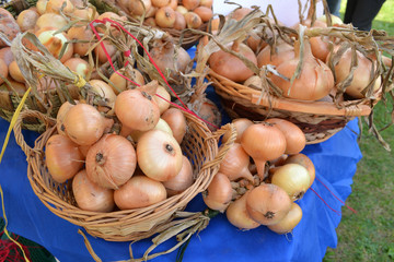Zwiebeln auf dem Markt