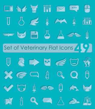 Set of veterinary flat icons