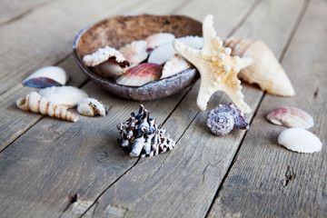 seashells frame on wooden background. nautical border