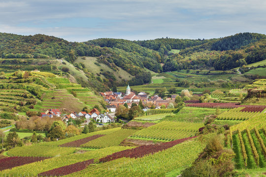 Schelingen, Kaiserstuhl, Hebst