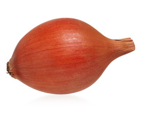 One onion