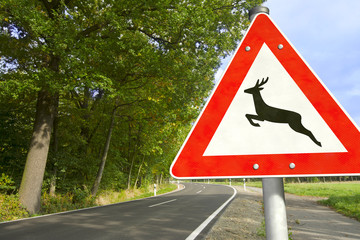 Straße mit Verkehrsschild Achtung Wildwechsel © bluedesign