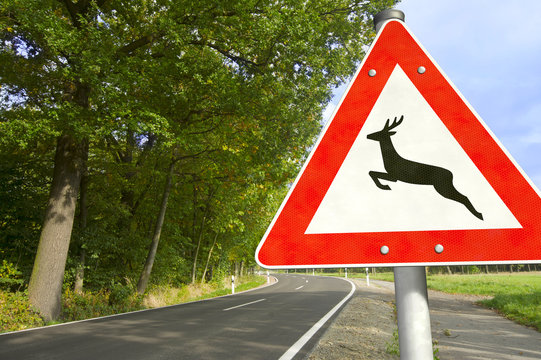 Stra&szlig;e mit Verkehrsschild Achtung Wildwechsel