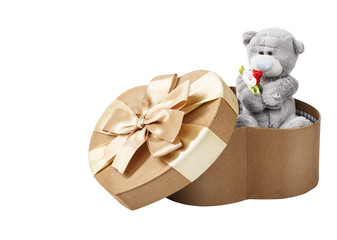 gift box with bear