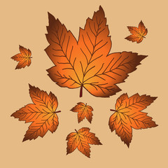 orange leaves fall vector