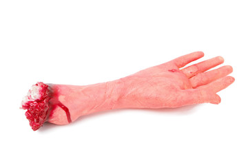the hand © anna karwowska
