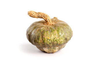 zucca di Lorenzo