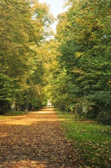 jesień w parku © Agnieszka Witczak