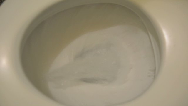 flushing device