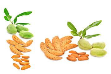 Almonds isolated