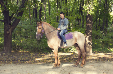 horse ride young guy autumn forest