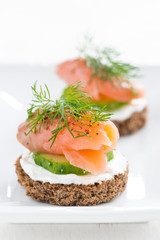 canape with cheese, cucumber and salmon, close-up