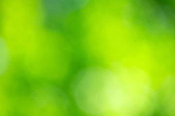  green nature background - 71496648