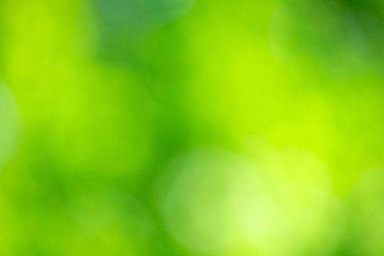  Green Nature Background