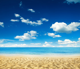 beautiful beach and tropical sea