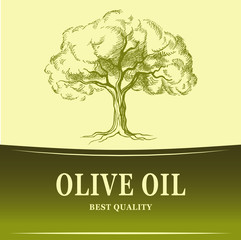 Olive oil. Vector  olive tree. For labels, pack.