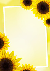 Sunflower vector background for image and text - 71498662