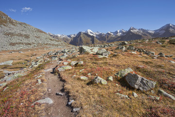 Fall in the Alps