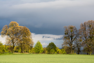 Fototapeta premium Unwetter im Frühjahr bei Freyburg/Unstrut