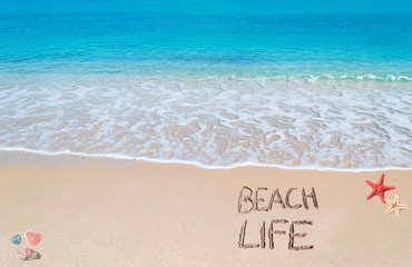 beach life