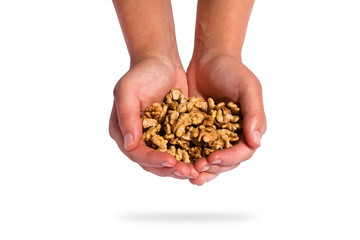 Human hand holding walnut over white background